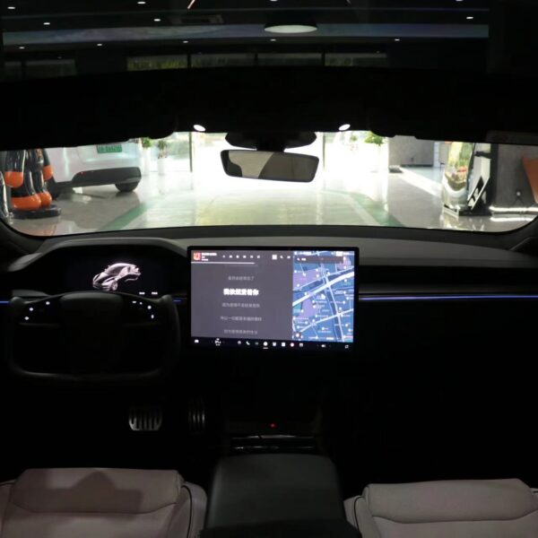 2021+ Model S Laser Carving Ambient Lighting